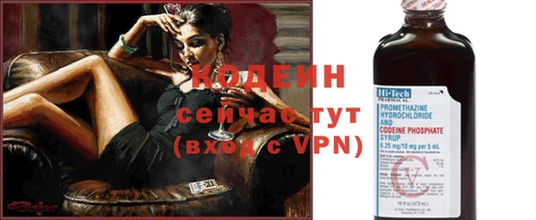 гашик Осташков