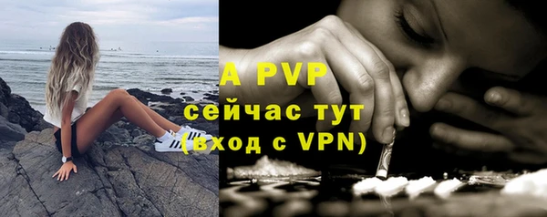 герыч Пересвет