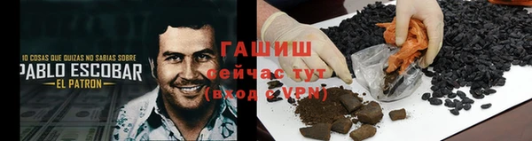 спиды Белокуриха