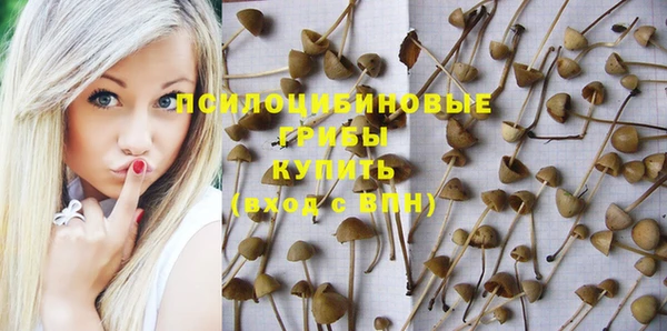 эйфоретик Беломорск