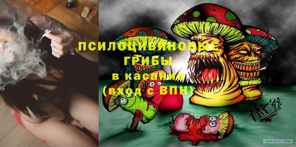 спиды Белокуриха