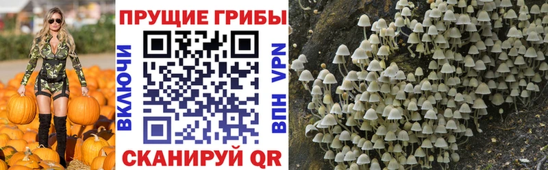 купить   Боровск  мориарти официальный сайт  Псилоцибиновые грибы ЛСД  OMG ТОР 